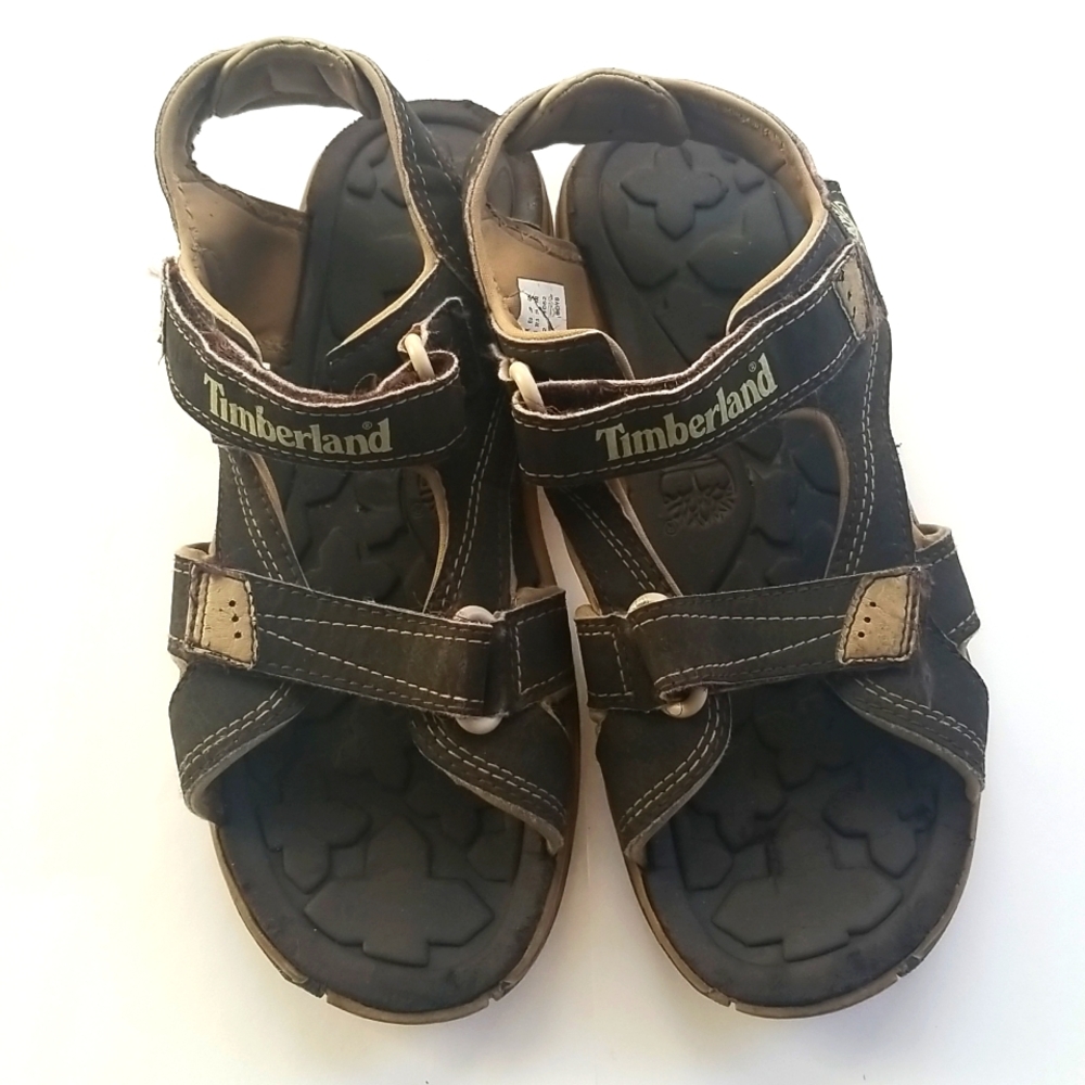 Timberland Big Kids Boy's Brown leather strap Sandals